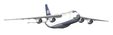 Brinkley Wings A300